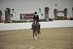 1270-Vermilion-AinsleySadlo-LegacyCup-NonPro3'-5-15-08-DeRosaPhoto.jpg