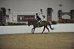 1368-PrimeTime-MicheleTrufant-LegacyCup-NonPro3'-5-15-08-DeRosaPhoto.jpg