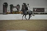 1426-Absolut-TracyScheriff-LegacyCup-NonPro3'-5-15-08-DeRosaPhoto.jpg