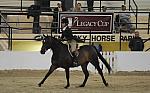1701-NorthShore-EmilyWygod-LegacyCup-NonPro3'Finals-5-16-08-DeRosaPhoto.jpg
