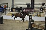 2406-Accord-KirstieDobbs-LegacyCup-NonPro3'6Finals-5-17-08-DeRosaPhoto