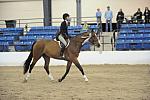 2487-LegacyCup-NonPro3'6Awards-5-17-08-DeRosaPhoto
