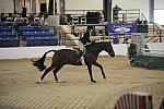 1848-Lawless-ElizabethMorgan-LegacyCup-NonPro3'6GoRound-5-17-08-DeRosaPhoto.jpg