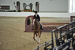1874-Alakazam-EdieCaldwell-LegacyCup-NonPro3'6GoRound-5-17-08-DeRosaPhoto.jpg