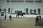 1968-MeinSchatz-ElizabethBo-LegacyCup-NonPro3'6GoRound-5-17-08-DeRosaPhoto.jpg