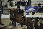 2031-Solitaire-AbigailMcArdle-LegacyCup-NonPro3'6GoRound-5-17-08-DeRosaPhoto.jpg