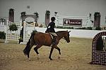 2072-Miracle-PaulenaJohnson-LegacyCup-NonPro3'6GoRound-5-17-08-DeRosaPhoto.jpg
