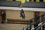 2109-BritannasLittlePrince-LucasPorter-LegacyCup-PonyFinals-5-17-08-DeRosaPhoto.jpg