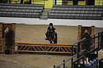 2121-FarFromHome-LuluFarish-LegacyCup-PonyFinals-5-17-08-DeRosaPhoto.jpg