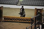 2131-ClovercroftsBodaciousBabe-MarthaIngram-LegacyCup-PonyFinals-5-17-08-DeRosaPhoto.jpg