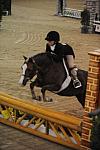 2132-ClovercroftsBodaciousBabe-MarthaIngram-LegacyCup-PonyFinals-5-17-08-DeRosaPhoto.jpg