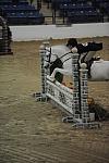 2167-HumorMe-BethanyBolen-LegacyCup-PonyFinals-5-17-08-DeRosaPhoto.jpg