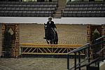 2174-HappyFeet-EmmaRoberts-LegacyCup-PonyFinals-5-17-08-DeRosaPhoto.jpg