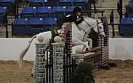 2180-PartyTillDawn-MarthaIngram-LegacyCup-PonyFinals-5-17-08-DeRosaPhoto.jpg