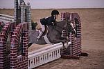 788-DawnsEarlyLight-MarthaIngram-LegacyCup-PonyHunterGoRound-5-10-08-DeRosaPhoto.jpg