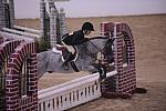 793-BrittanasLittlePrince-PaulineCook-LegacyCup-PonyHunterGoRound-5-10-08-DeRosaPhoto.jpg