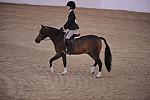 812-FarFromHome-LuluFarish-LegacyCup-PonyHunterGoRound-5-10-08-DeRosaPhoto.jpg