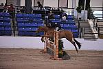 1041-MotionPicture-JenniferPapiernik-LegacyCup-Pro3'6Finals-5-10-08-DeRosaPhoto.JPG