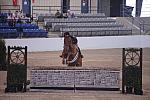 986-TheImpressionist-DeniseDerisioPerry-LegacyCup-Pro3'6Finals-5-10-08-DeRosaPhoto.JPG