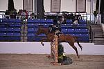 988-TheImpressionist-DeniseDerisioPerry-LegacyCup-Pro3'6Finals-5-10-08-DeRosaPhoto.JPG