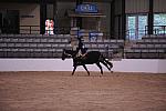 1136-GlassCastle-HavensSchatt-LegacyCup-Pro3'6Finals-5-10-08-DeRosaPhoto.JPG