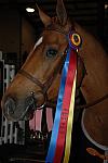 1148-MotionPicture-JenniferPapiernik-MotionPicture-LegacyCup-Pro3'6FinalsAwards-DeRosaPhoto.jpg