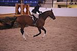 258-Momentus-TammyProvost-Pro3'6GoRound-LegacyCup-5-9-08-DeRosaPhoto.jpg