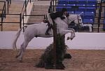 294-Skylar-LorettaMayer-Pro3'6GoRound-LegacyCup-5-9-08-DeRosaPhoto.jpg