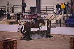 563-Tiberius-JenniferRitucci-LegacyCup-Pro3'Finals-5-9-08-DeRosaPhoto.jpg