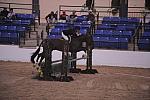 680-SayIt-JamesLala-LegacyCup-Pro3'Finals-5-9-08-DeRosaPhoto.jpg