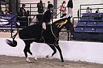 757-AllTheAnswers-HavensSchatt-LegacyCup-Pro3'FinalsAwards-5-9-08-DeRosaPhoto.JPG