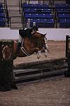 Pro 3' Go Round