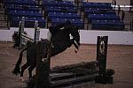 010-Tryst-ChrystalKnight-Pro3'GoRound-LegacyCup-5-8-08-DeRosaPhoto.jpg