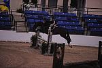 011-Tryst-ChrystalKnight-Pro3'GoRound-LegacyCup-5-8-08-DeRosaPhoto.jpg