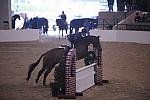 059-Tucker-MorganThomas-Pro3'GoRound-LegacyCup-5-8-08-DeRosaPhoto.jpg