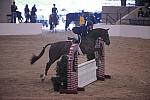 074-Playmaker-TammyProvost-Pro3'GoRound-LegacyCup-5-8-08-DeRosaPhoto.jpg