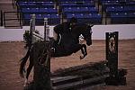 118-Bijou-HavensSchatt-Pro3'GoRound-LegacyCup-5-8-08-DeRosaPhoto.jpg