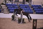 148-WalkThisWay-ChrisPayne-Pro3'GoRound-LegacyCup-5-8-08-DeRosaPhoto.jpg