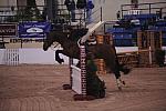 197-NorthernCrown-TammyProvost-Pro3'GoRound-LegacyCup-5-8-08-DeRosaPhoto.JPG