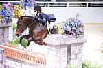 WIHS-10-22-09-DSC_4705-Bishonen-SamanthaSchaefer-LgJrHtr15U-DDeRosaPhoto.jpg