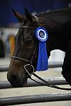 WIHS-10-23-10-DSC_7748-WinnerClass154-Bishonen-SamanthaSchaefer-DDeRosaPhoto.jpg