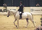 331-AHJF-CCO7-10-5-07-DeRosaPhoto.jpg