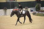 10-3-08-CC08-287-DeRosaPhoto.jpg
