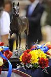 10-3-08-CC08-403-DeRosaPhoto.jpg