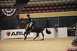 10-3-08-CC08-440-DeRosaPhoto.jpg