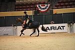 10-3-08-CC08-442-DeRosaPhoto.jpg