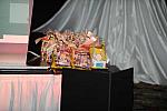 AHP-6-18-11-0764-DDeRosaPhoto.JPG