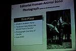 AHP-6-18-11-0868-DDeRosaPhoto.JPG