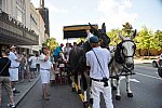 Carriage Ride