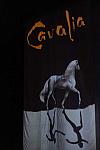 Cavalia